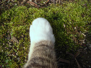 0702283.jpg