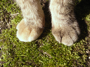 0703012.jpg