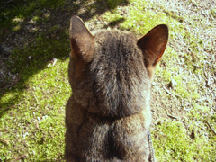 0703111.jpg
