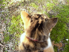 0703113.jpg