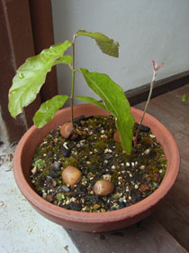 0705052.jpg