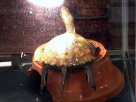 0804183.JPG
