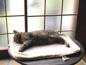 0804241.jpg