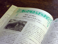 1002012.jpg