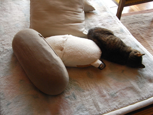 1005071a.jpg