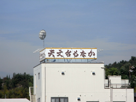 1005184.jpg