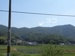 1006112.jpg