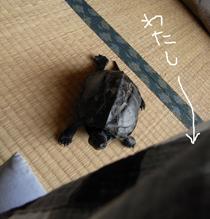1007151.JPG