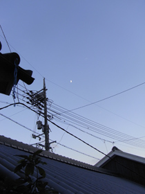 10080400.jpg
