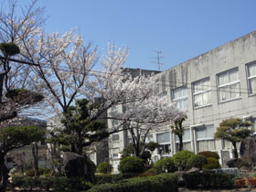 1104061.JPG