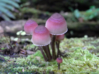 1212067.JPG