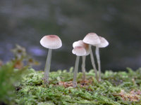 1212068.JPG