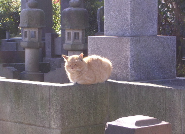 61704.jpg