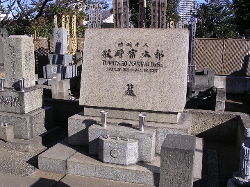 61705.jpg