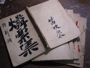 DSCN5676.jpg