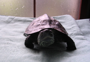 DSCN5718.jpg