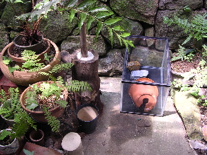 DSCN6018.jpg