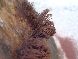 DSCN6034.jpg