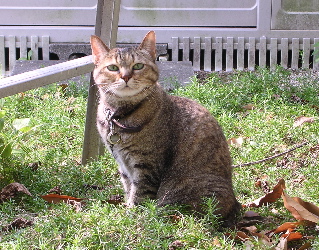 DSCN6111.jpg