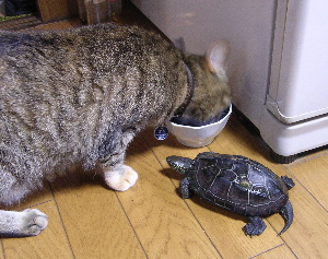 DSCN6113.jpg