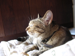 DSCN6157.jpg