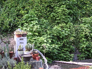 DSCN6175.jpg