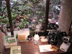 DSCN6241.jpg