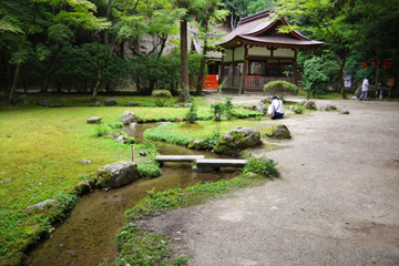IMGP7961.JPG