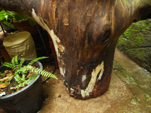 R0011640.JPG