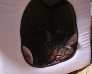 RIMG0012.jpg
