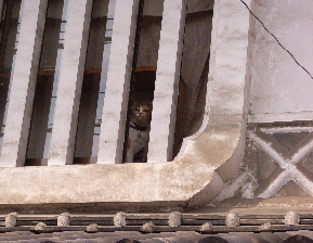 RIMG0034.jpg
