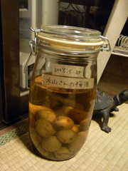 10091003.JPG