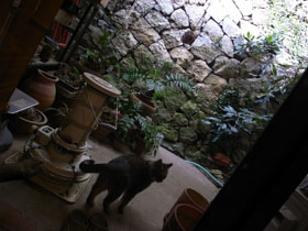1103245.JPG